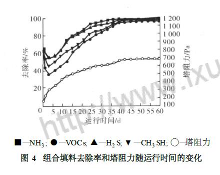  组合填料去除率和塔阻力随运行时间的变化